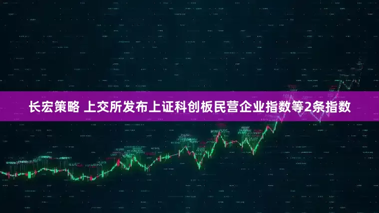 长宏策略 上交所发布上证科创板民营企业指数等2条指数